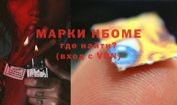 стаф Алзамай