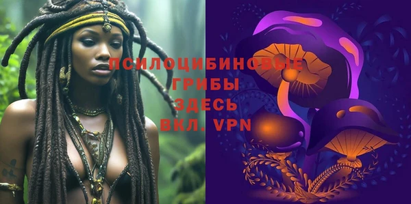 прущие крисы Алексеевка