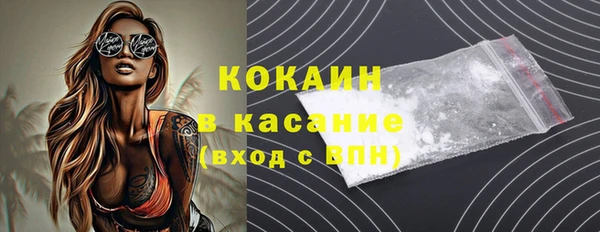 стаф Алзамай
