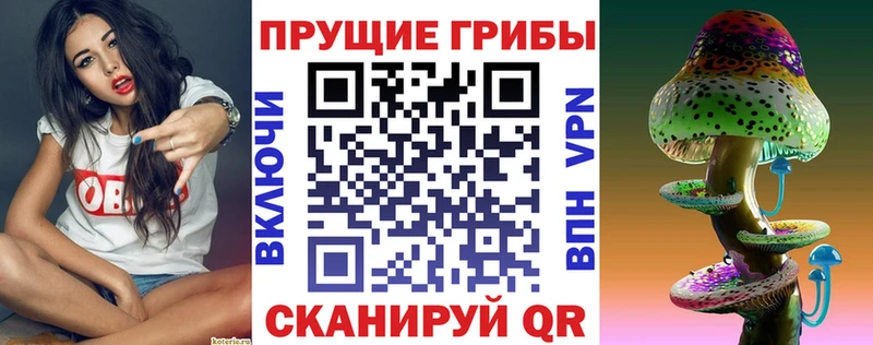 Купить где  Сольцы  Галлюциногенные грибы мухоморы 